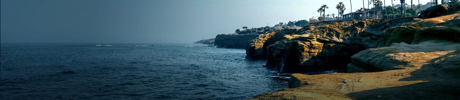 cliffs and palm trees along coast